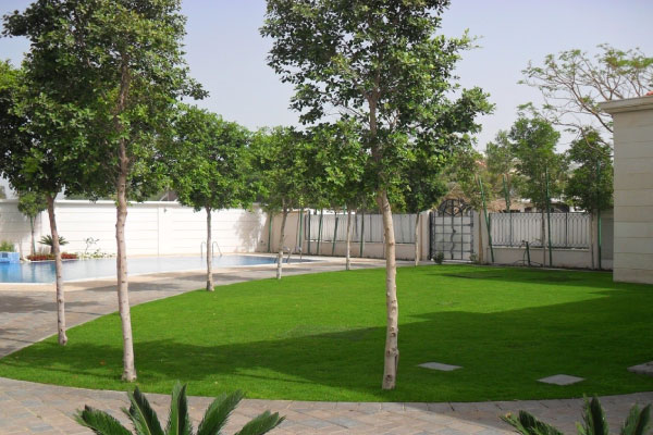 Landscaping Solutions