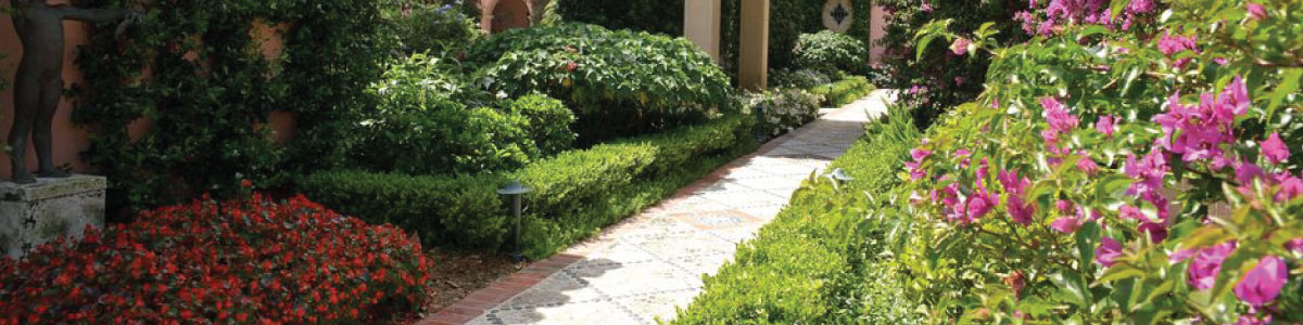 Landscaping Solutions